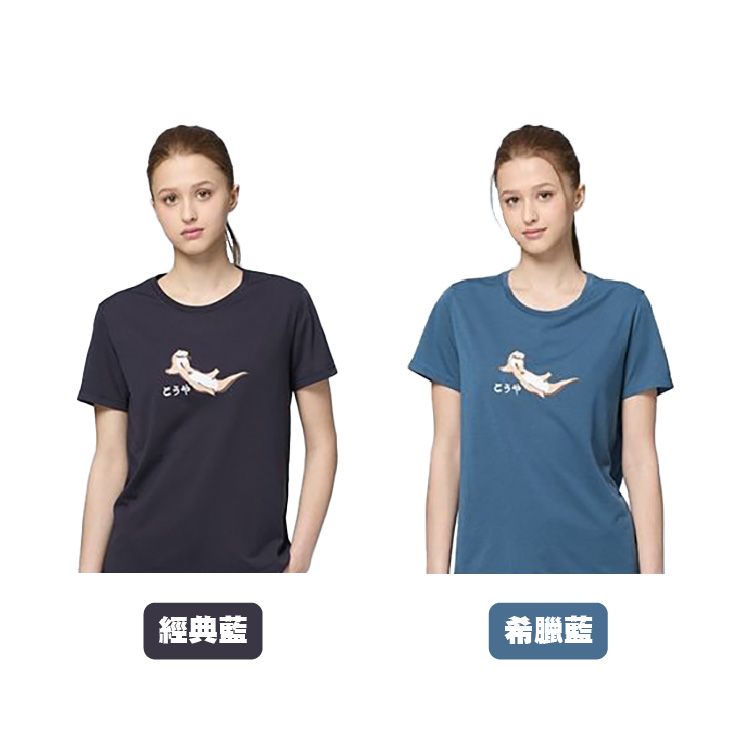 0B31601_顏色.jpg