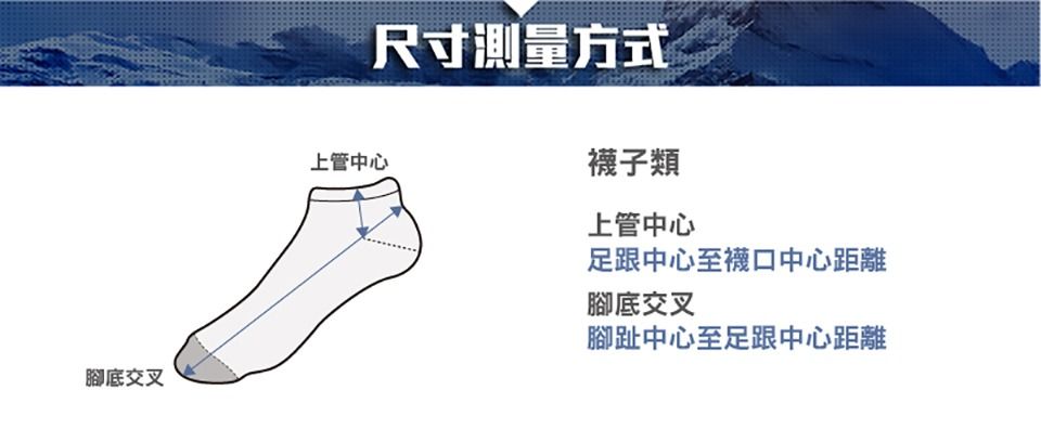 05.jpg